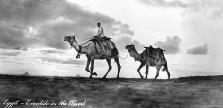 Postcard of