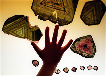 child's backlit hand with