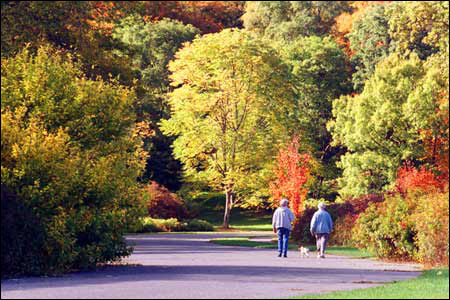 Arboretum