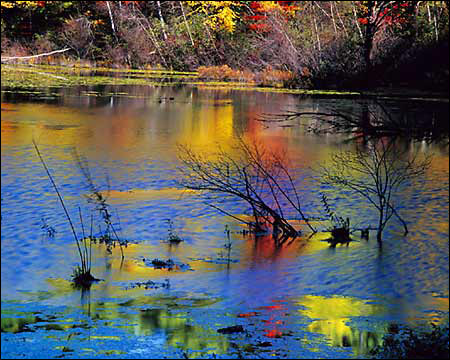 Autumn colors reflected in