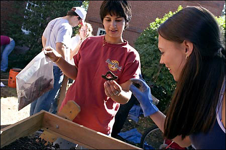 examining a puzzling