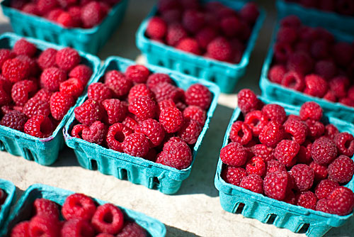 The fruit of their labor