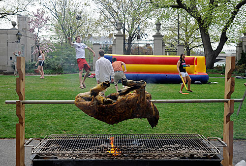 Where succulence meets decadence