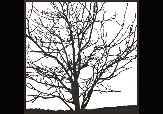 Allen Chamberland crafts his intricate artworks by carefully cutting out his designs from single  pieces of paper. Photo by Andrew Young