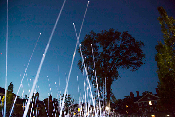 Geros: “I had this idea that if those grasses were of a synthetic material but within a naturalistic environment to some degree … their movement would have this sort of natural state to it, [but] the synthetic-ness would call your attention to something seemingly out of place.” Photo by Kevin Grady