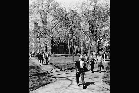 Fine day for a stroll