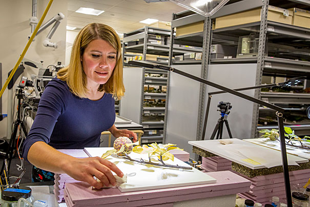 Woman restores glass flower