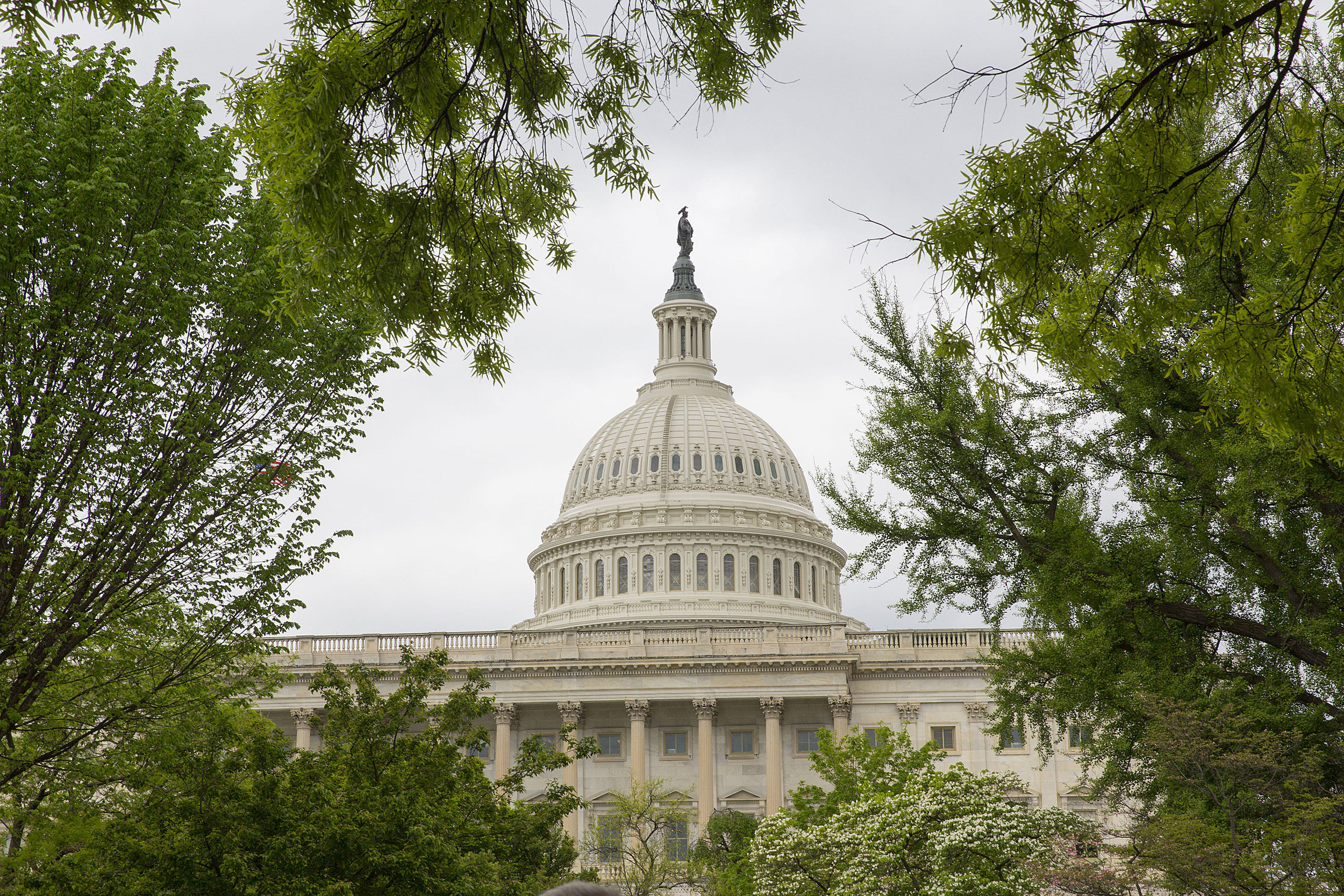 U.S. Capitol.