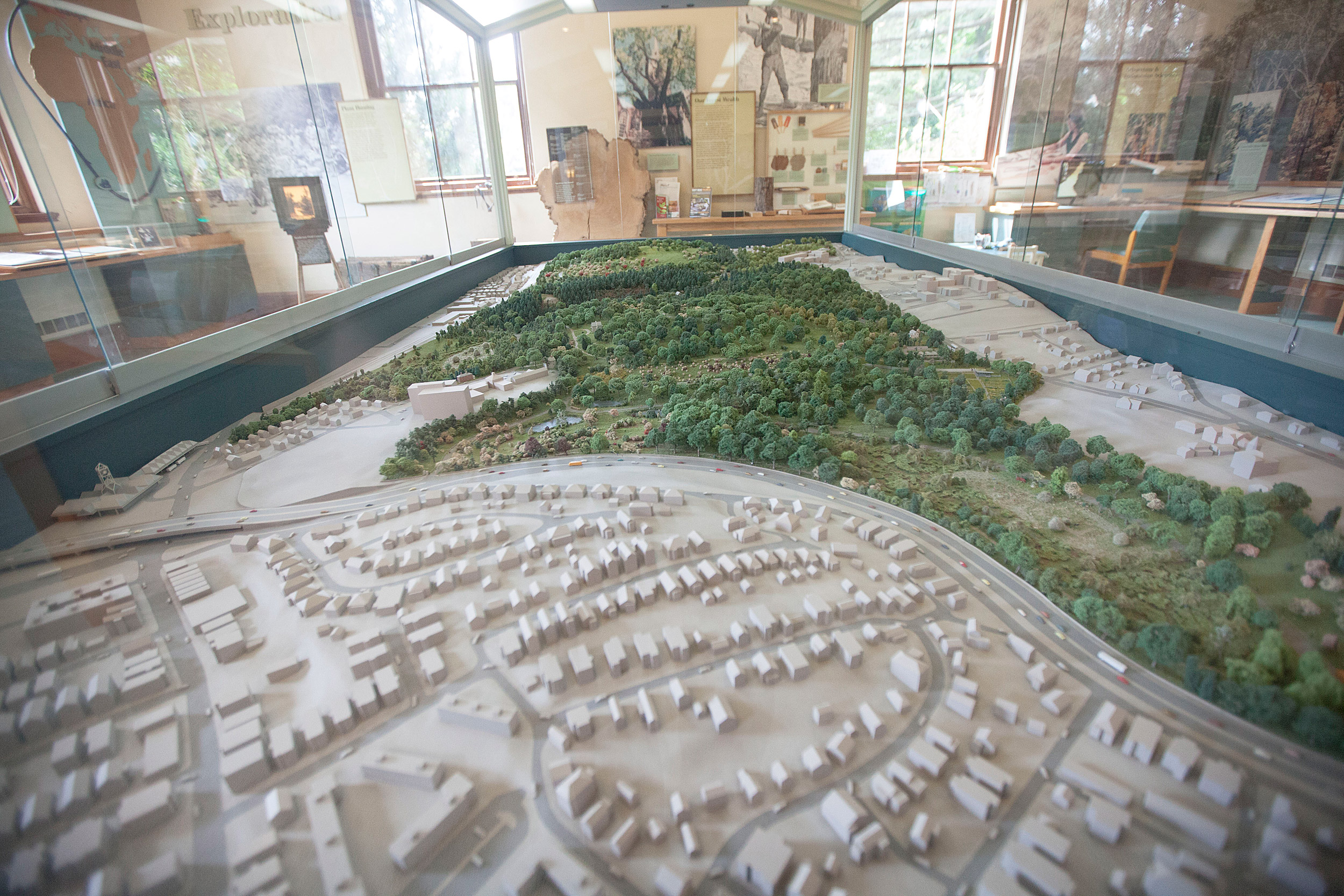 Diorama of Arnold Arboretum.