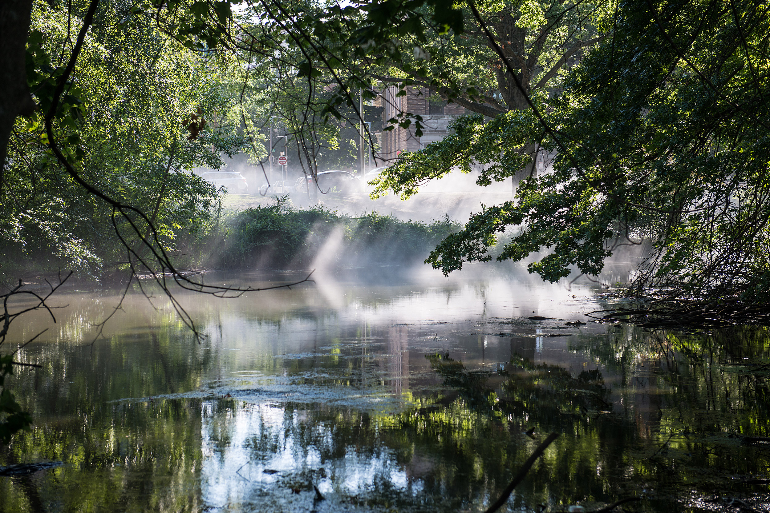 Fujiko Nakaya's Fog x Canopy at the Fens.