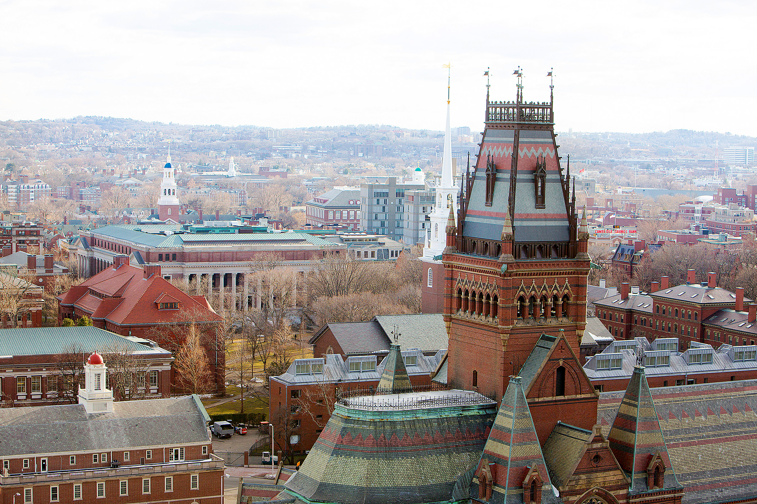 Harvard University