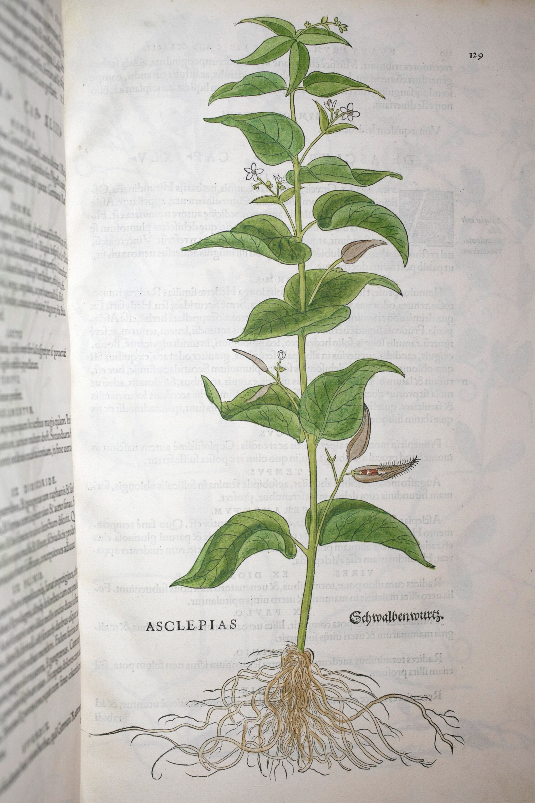 De Historia Stirpium Commentarii Insignes.