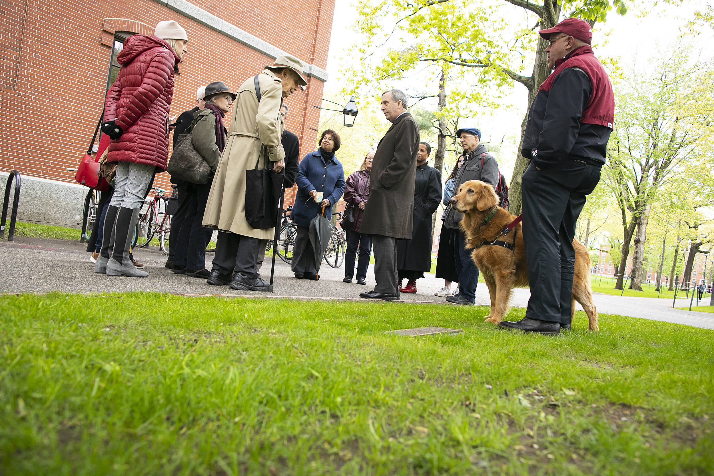 A small group gathers in Harvard Yard.