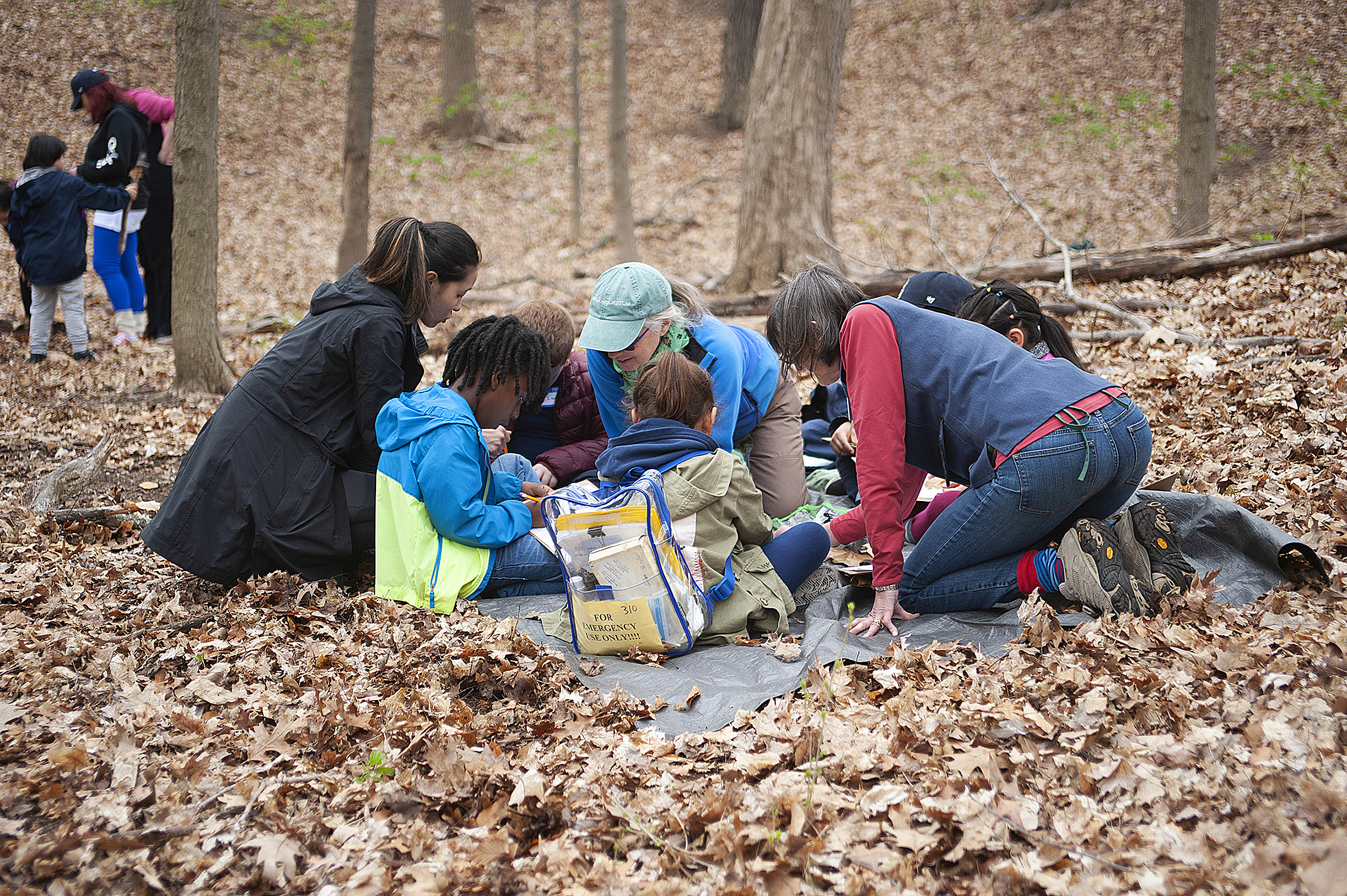 children gathered together to draw leaves