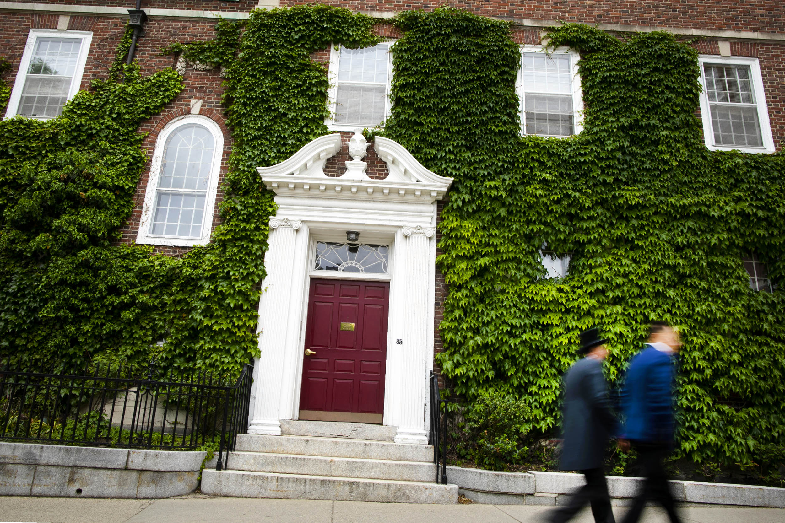 Guests walk by an ivy covered wall.