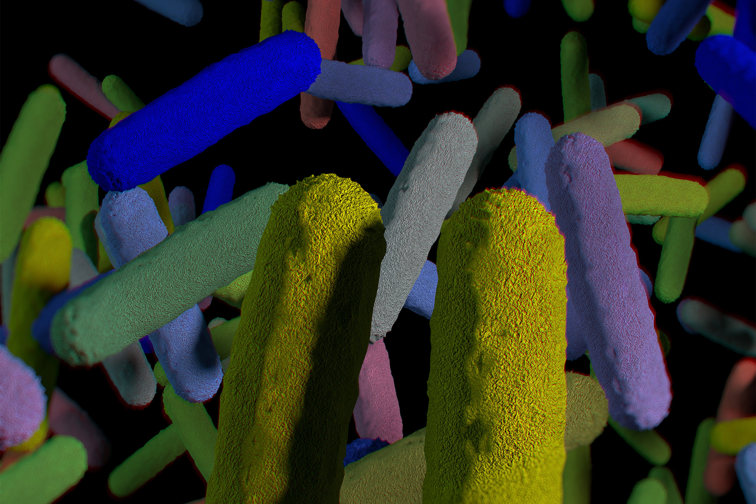 Gut bacteria microbiome. 3D illustration.