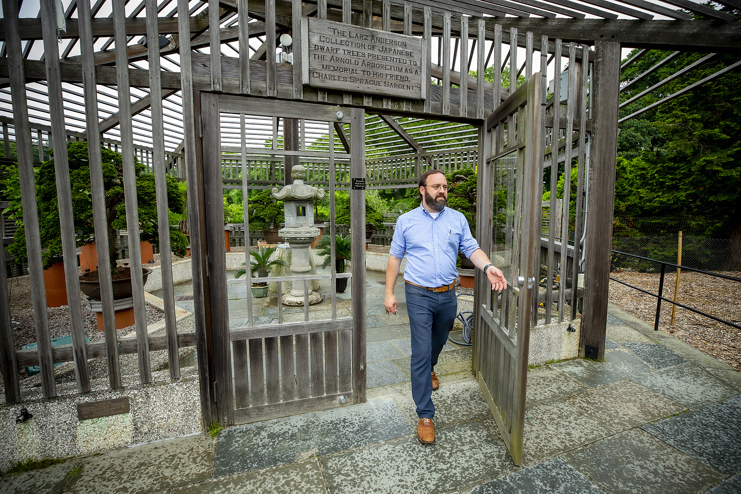 Steve Schneider walking out of bonsai greenhouse at the Arnold Arboretum