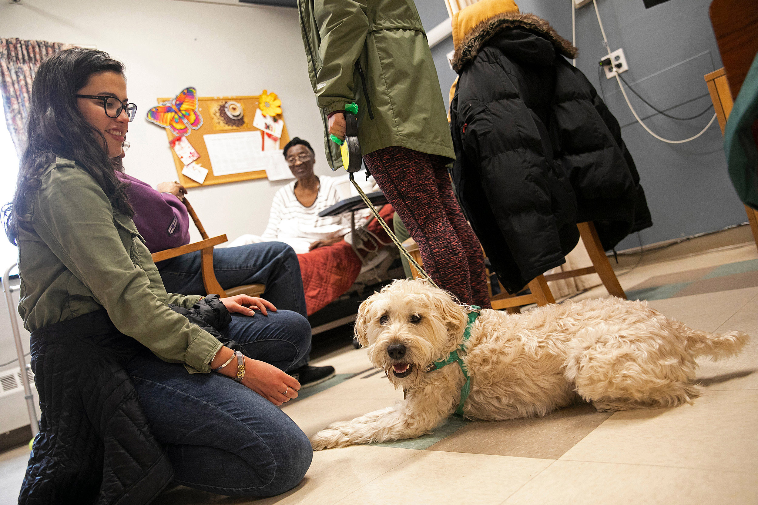 Man petting dog, women kneeling with dog