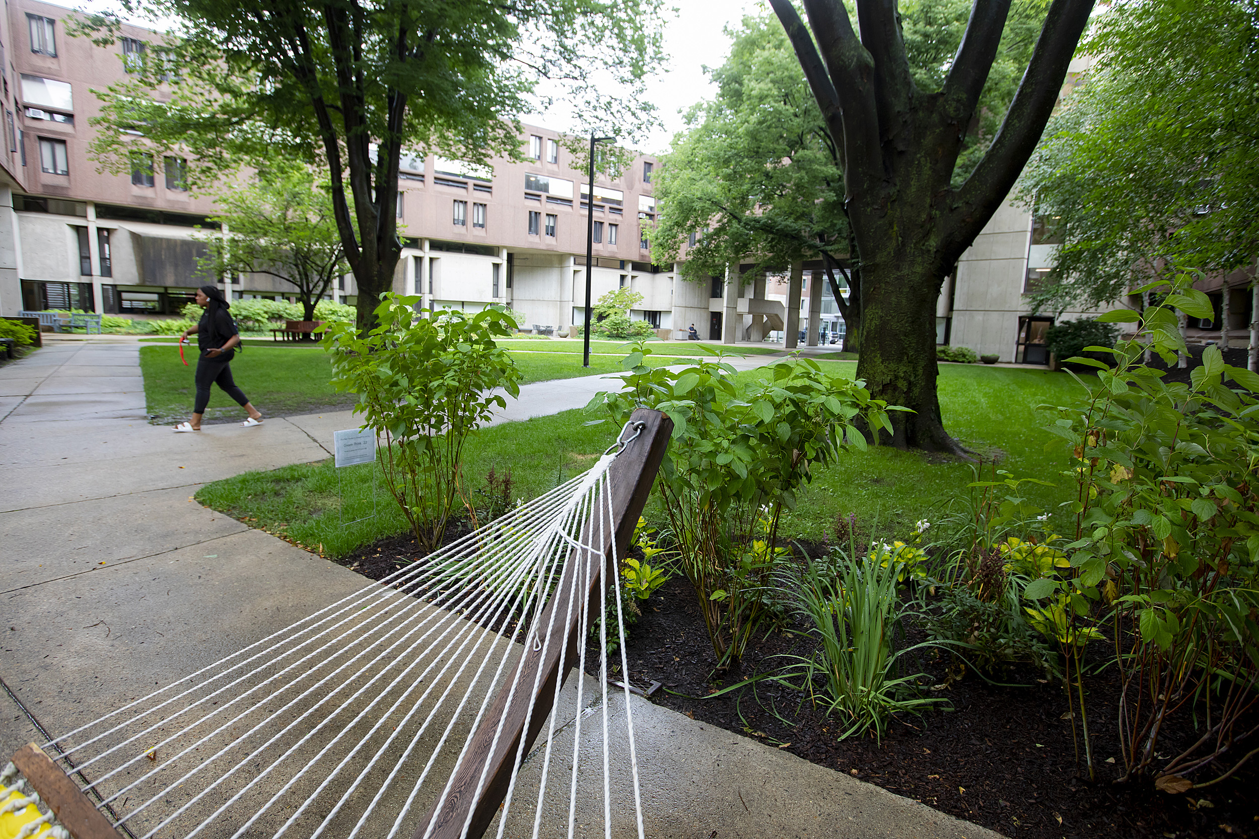 View toward the garden from a hammock