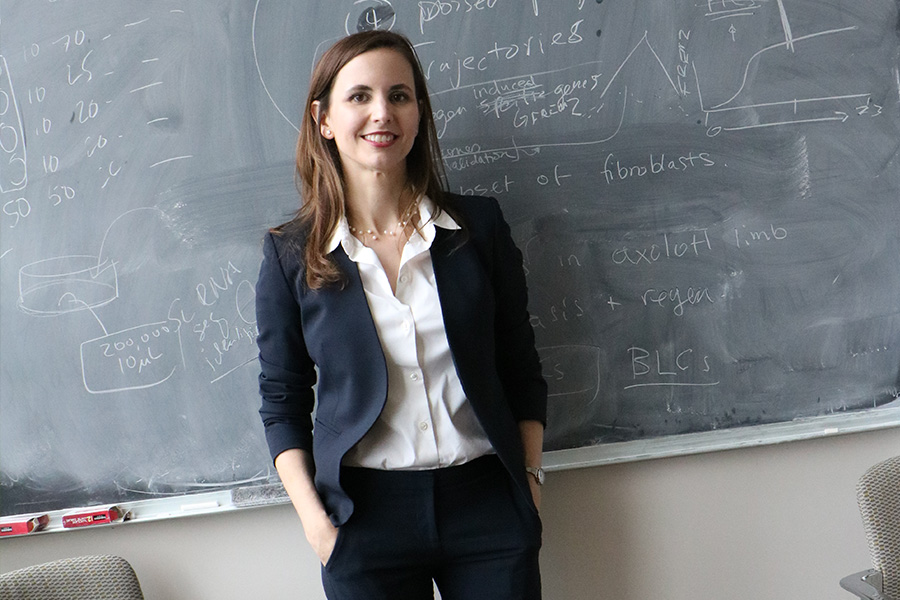 Jessica Whited in front of a chalkboard