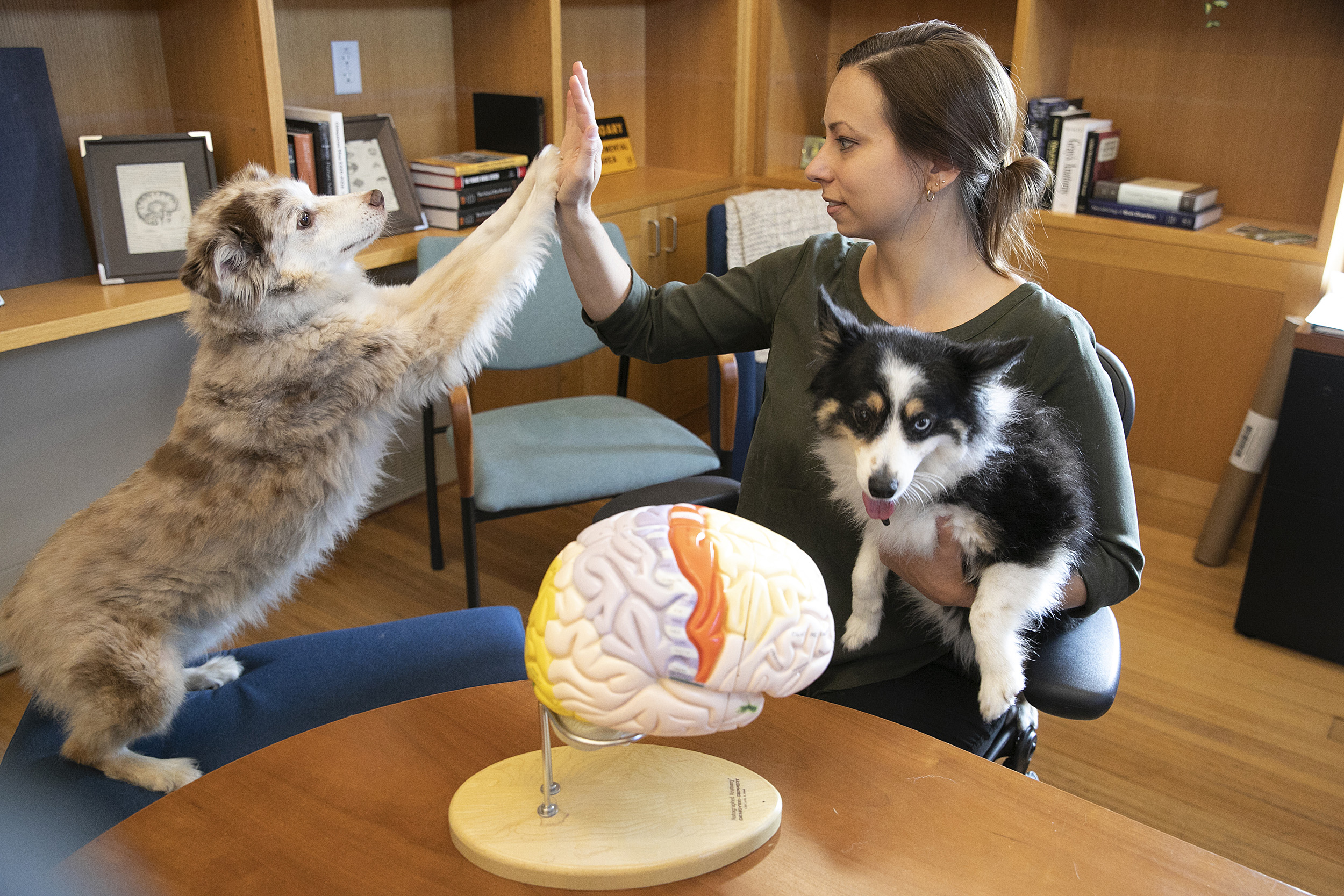 Researcher with two dogs