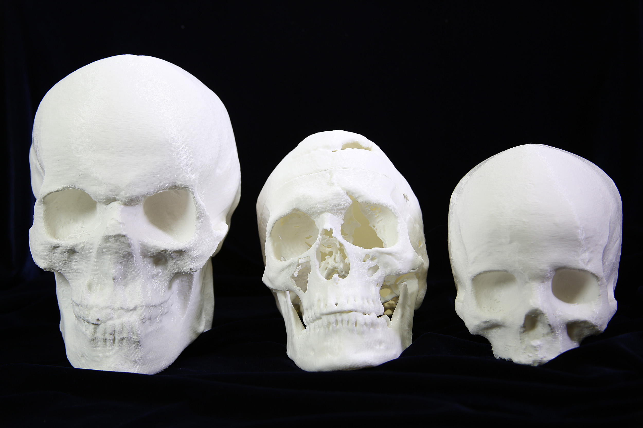 Three 3D printed skulls lined up against a black background