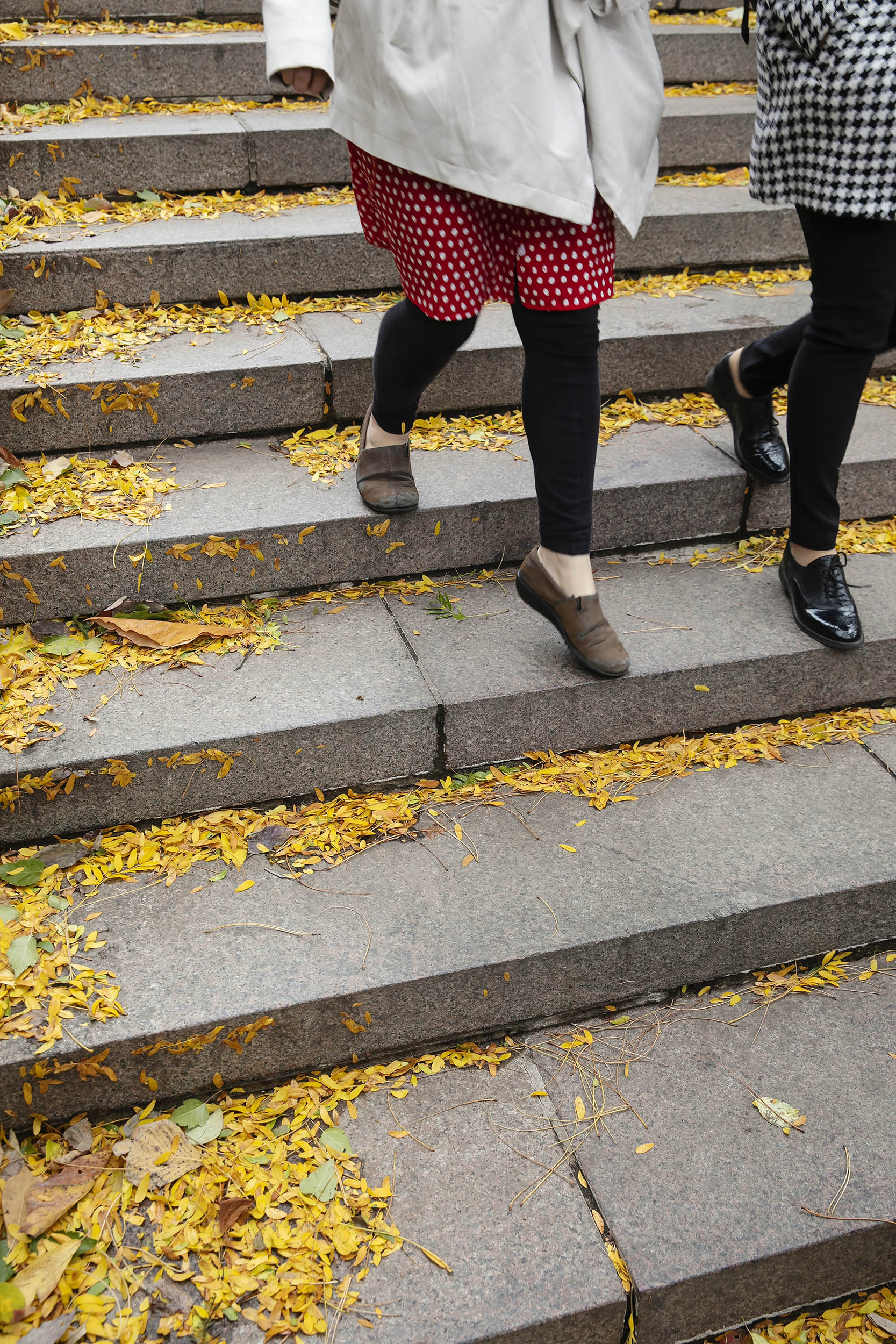 Students in polka dots and houndstooth descend the leaf-covered steps beside Houghton Library.