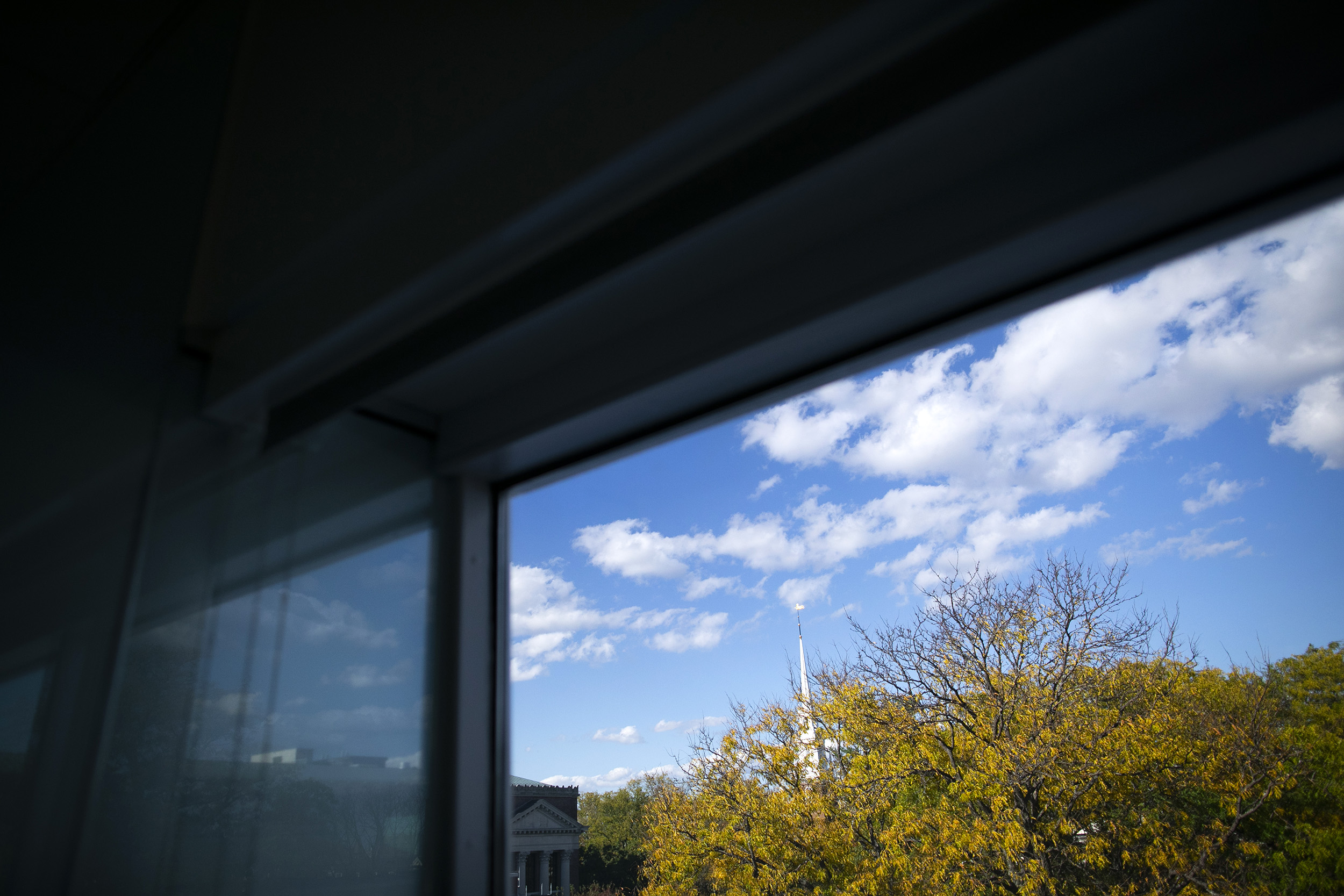 The view from the top floor of Lamont Library of Harvard Yard from above the treetops is pictured.