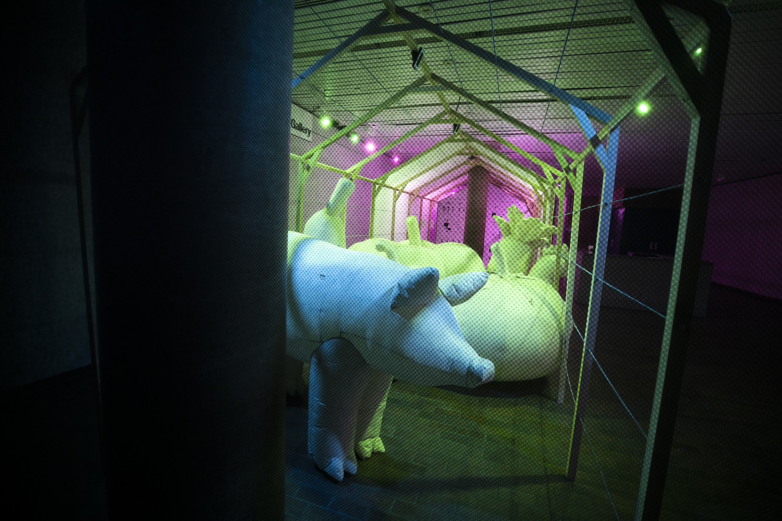 Large pink, green, and blue inflatable farm animals.