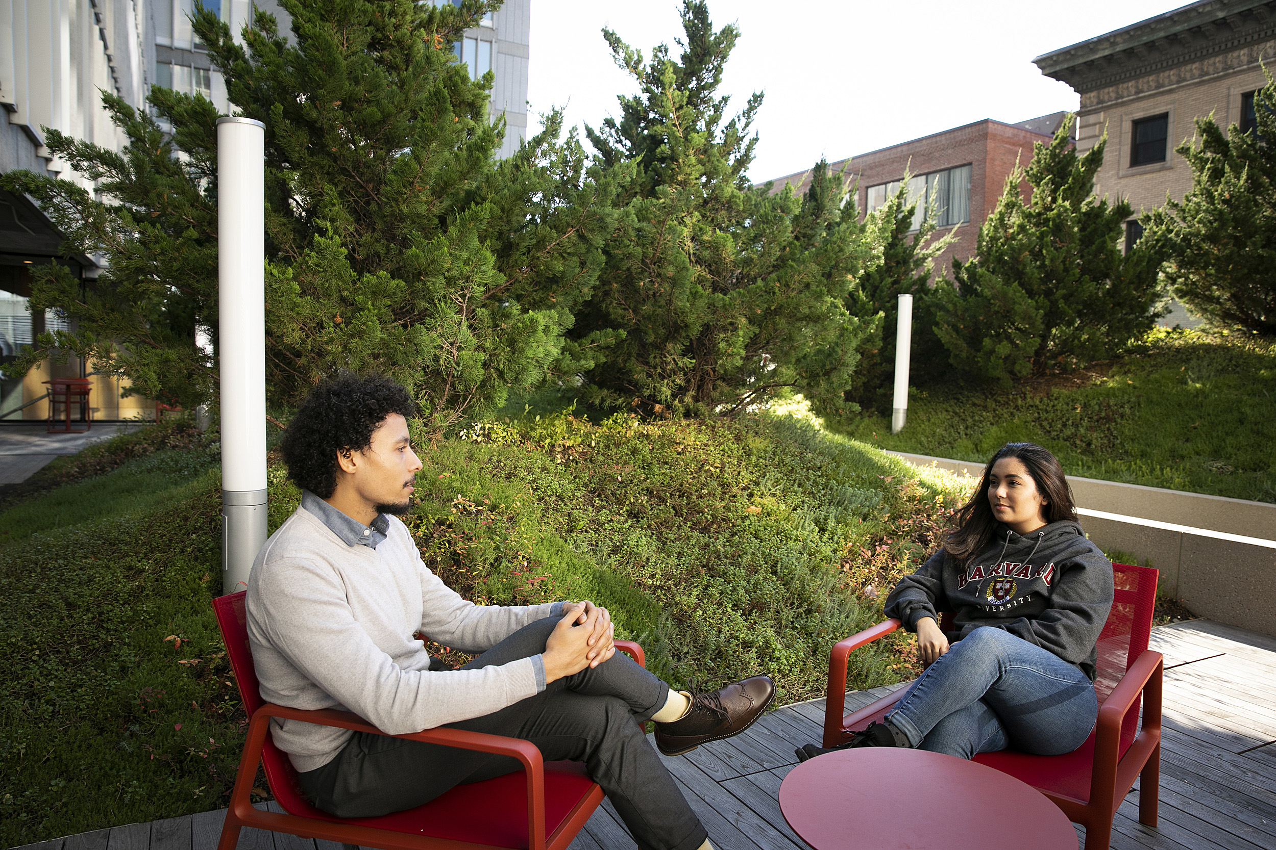 Two Harvard alums sitting in chairs