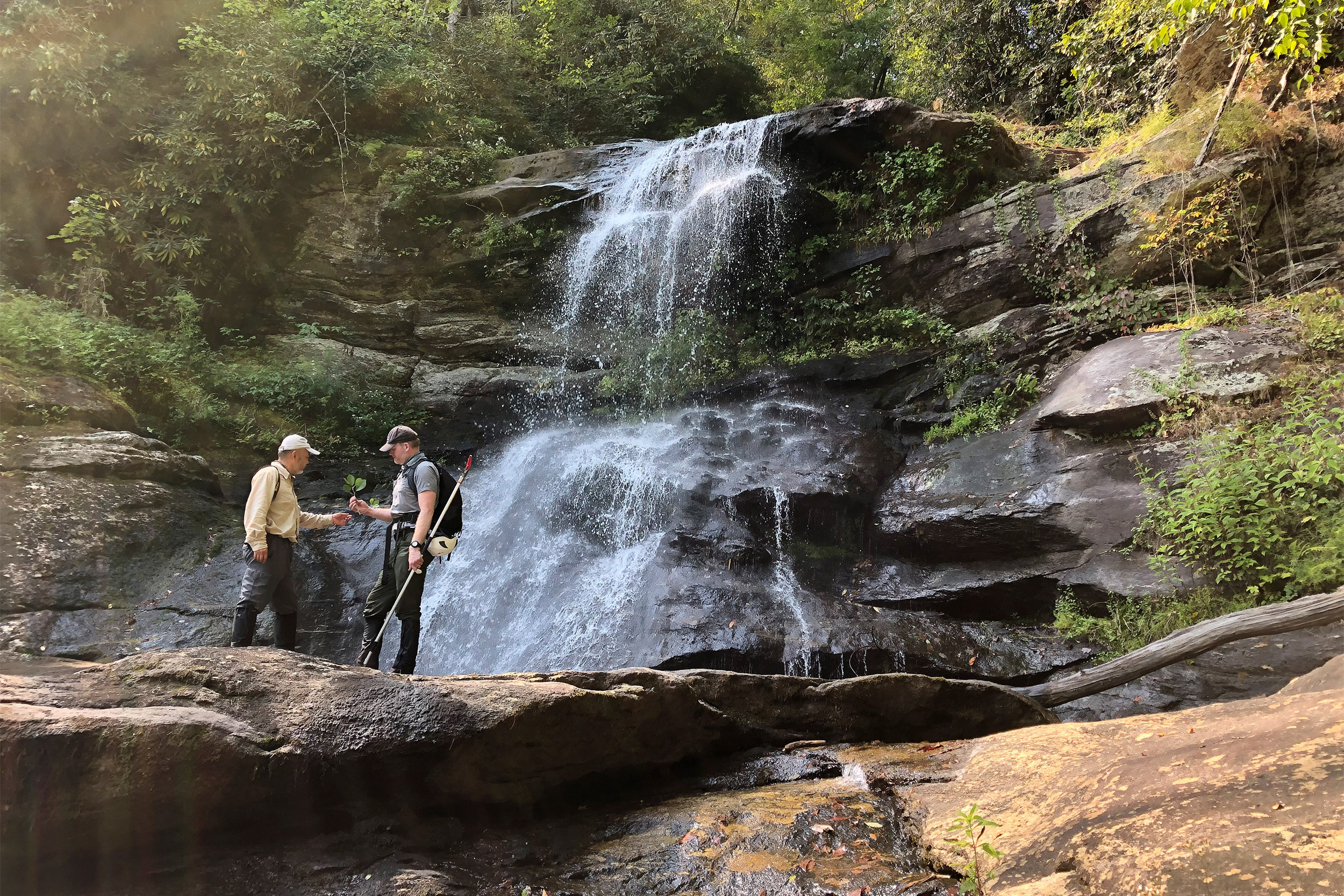 Holcomb Creek Falls in Chattahoochee National Forest in Rabun County, Georgia.