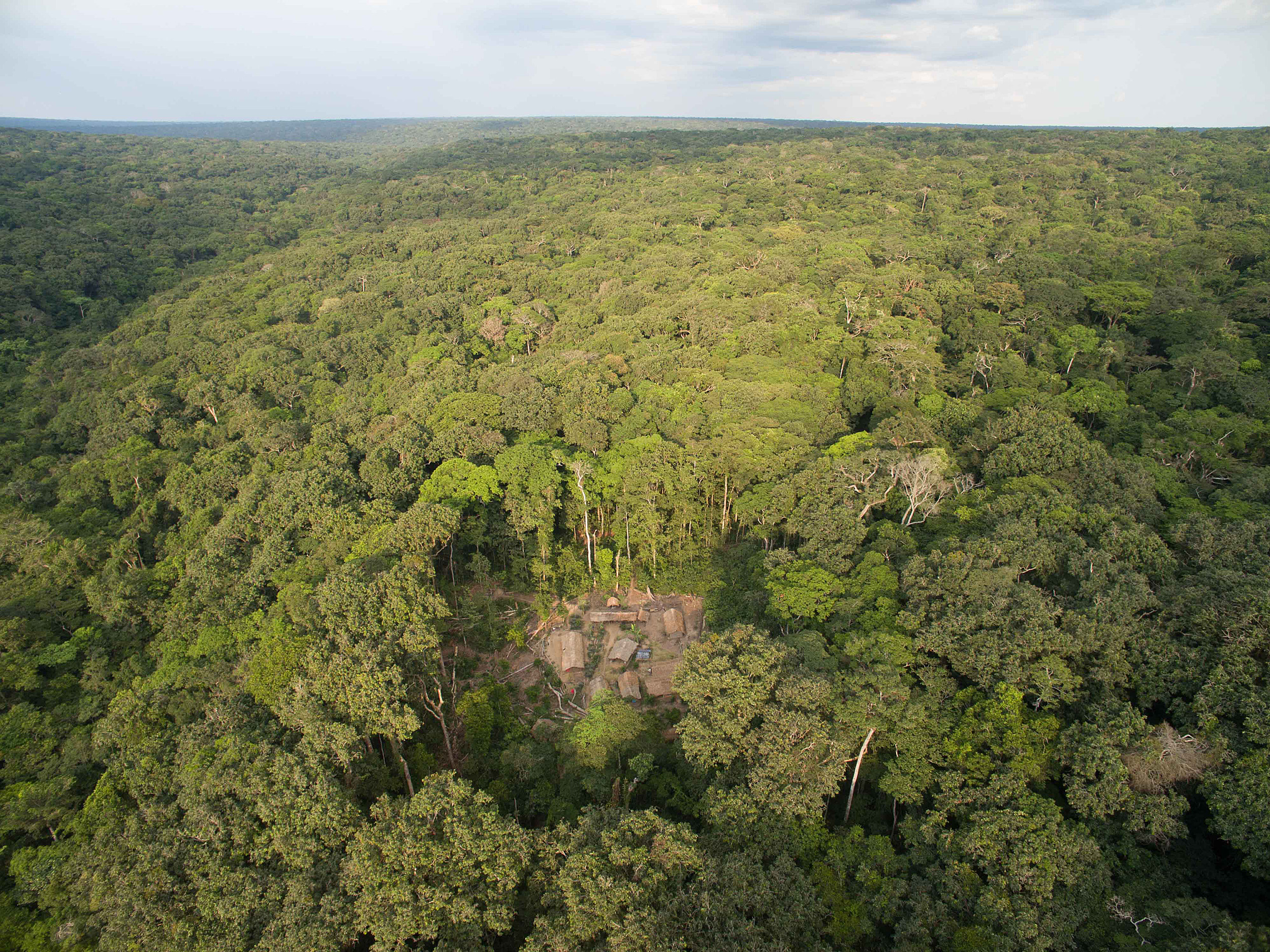 A bird's eye view of the research site.