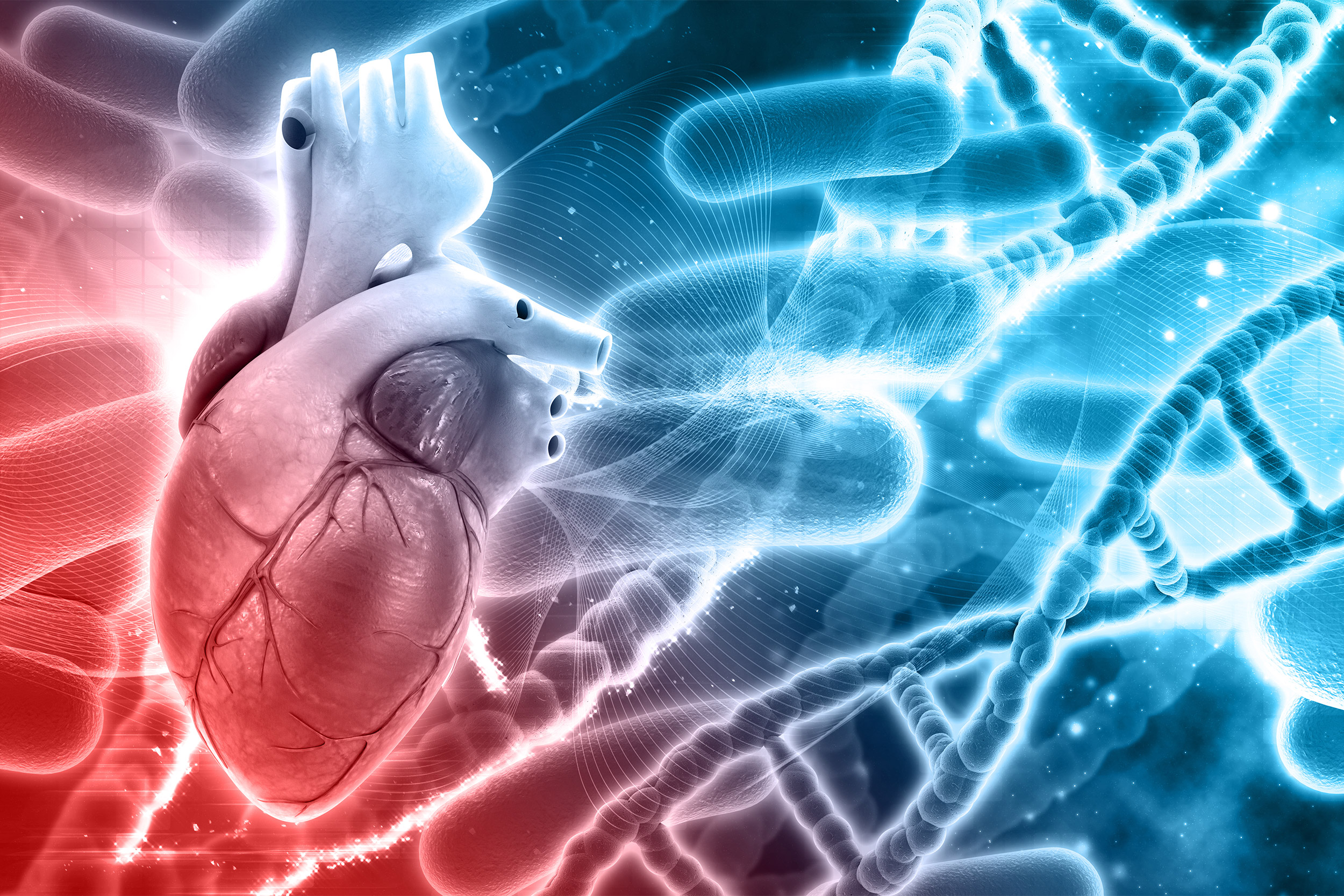 Heart with DNA strands.