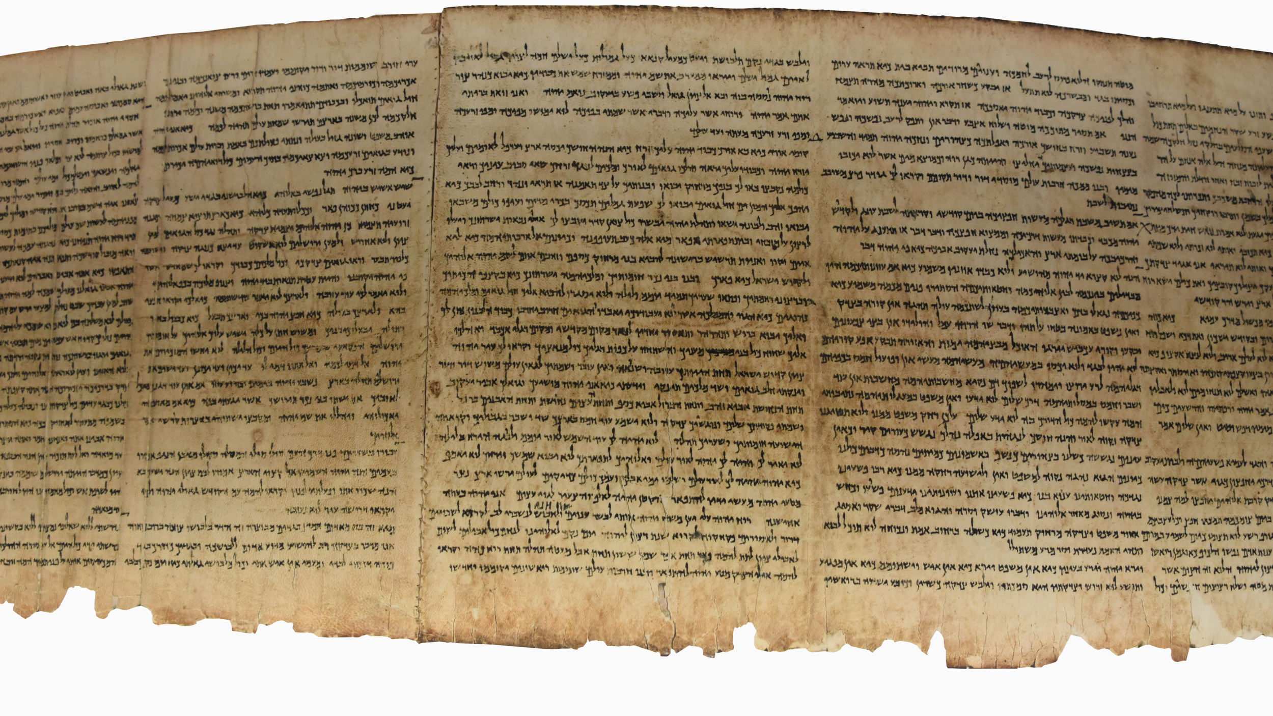 Dead Sea Scrolls