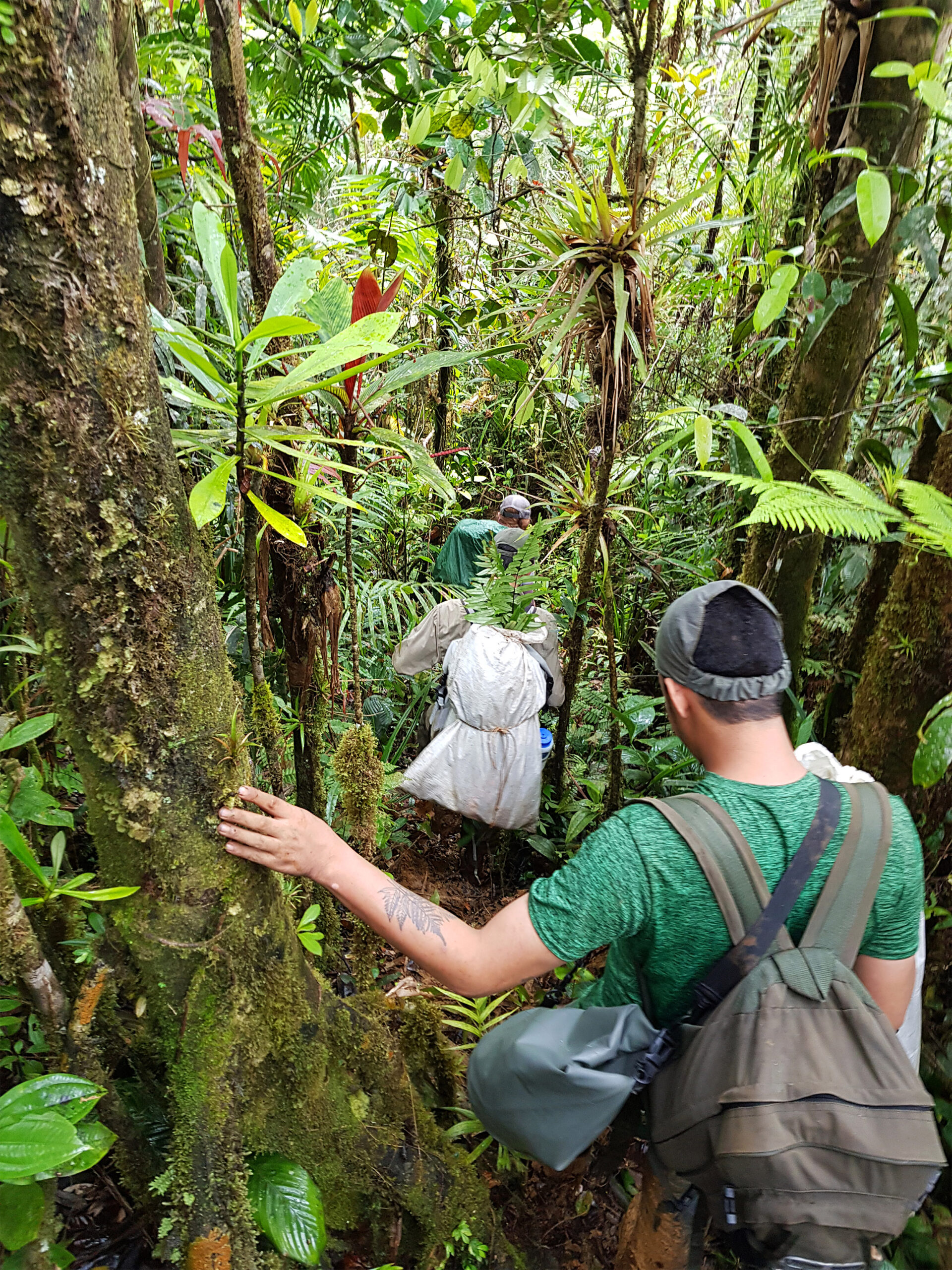 Students entering forest.