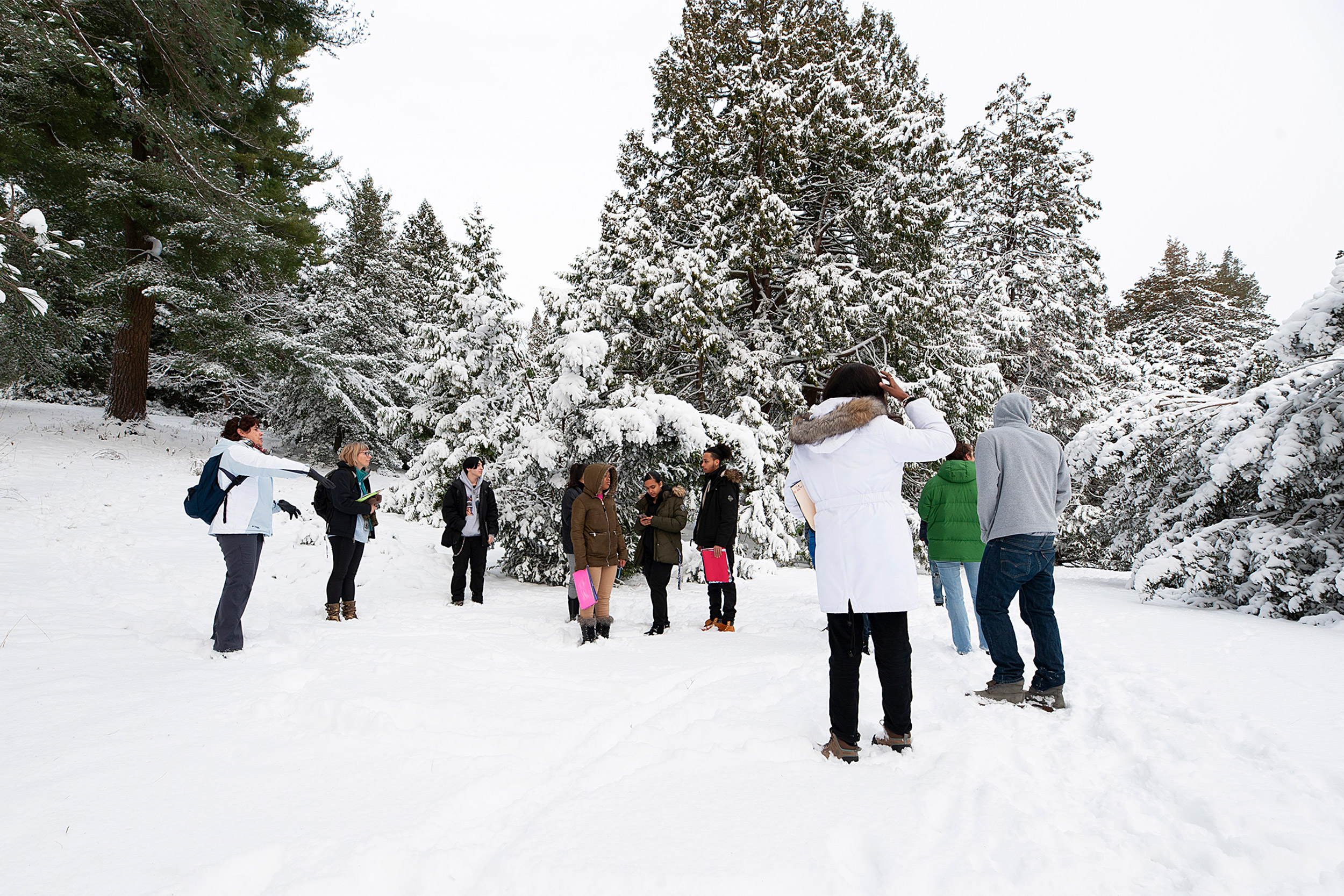 Local high school students in snow.