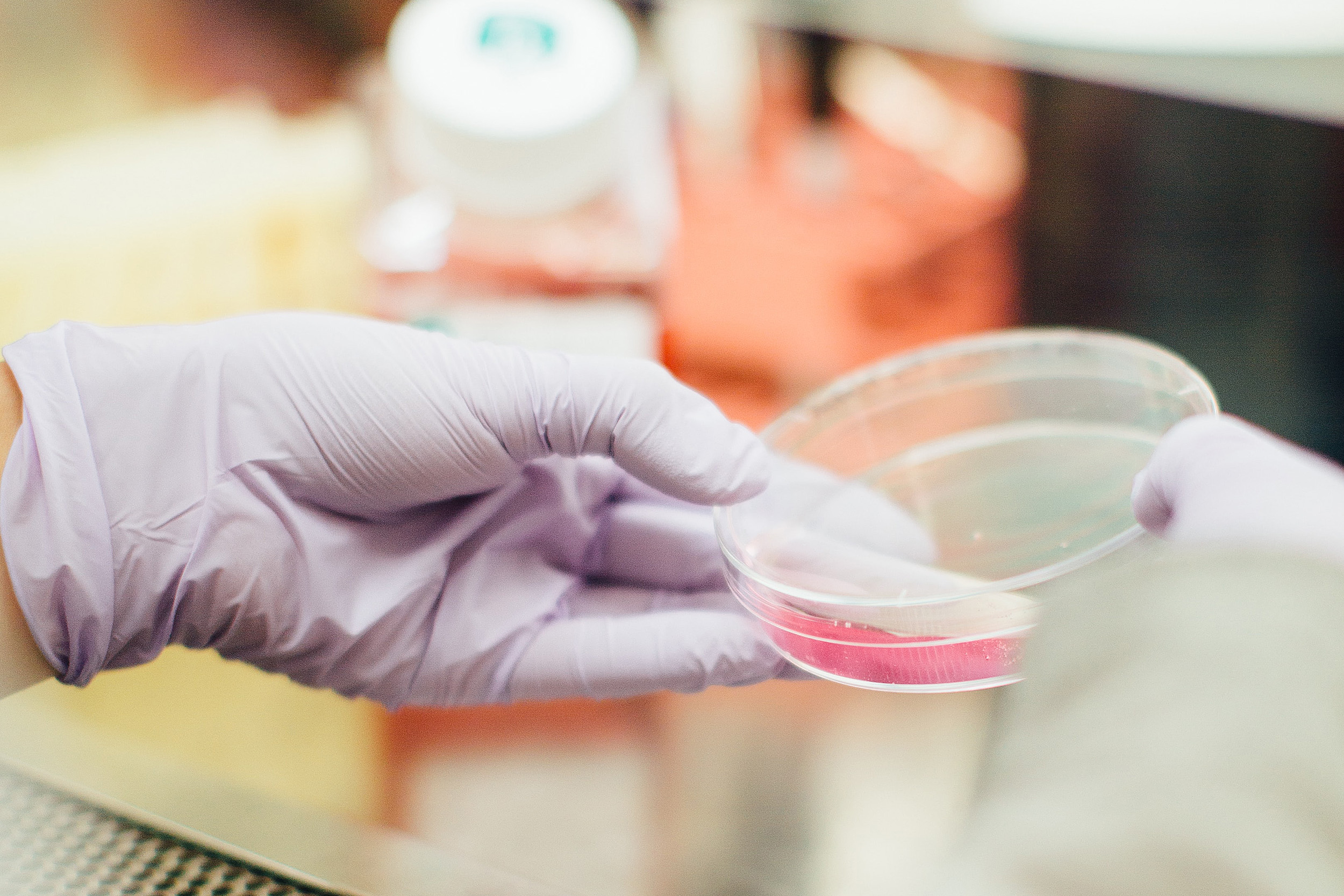 Petri dish in a lab.