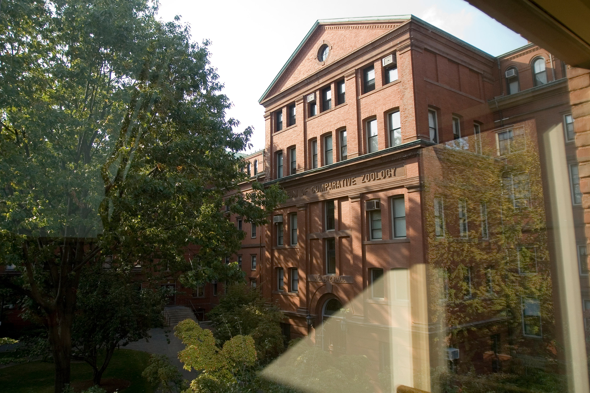 The Museum of Comparative Zoology at Harvard University.