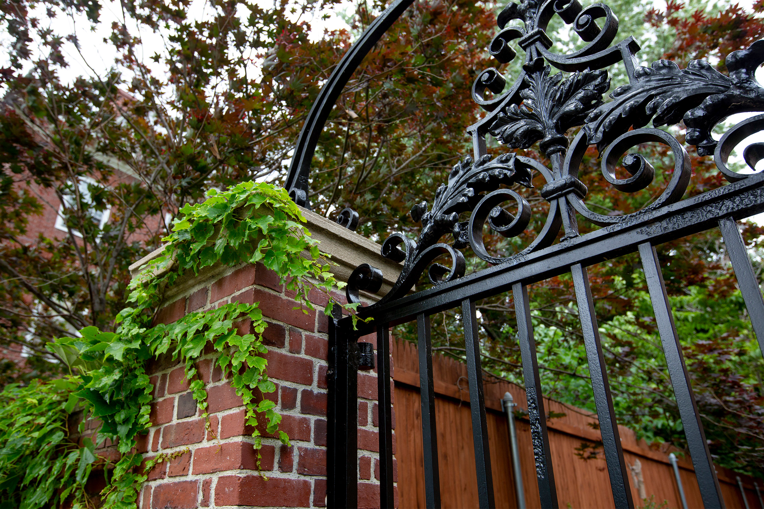 Gate with ivy outside Standish Hall