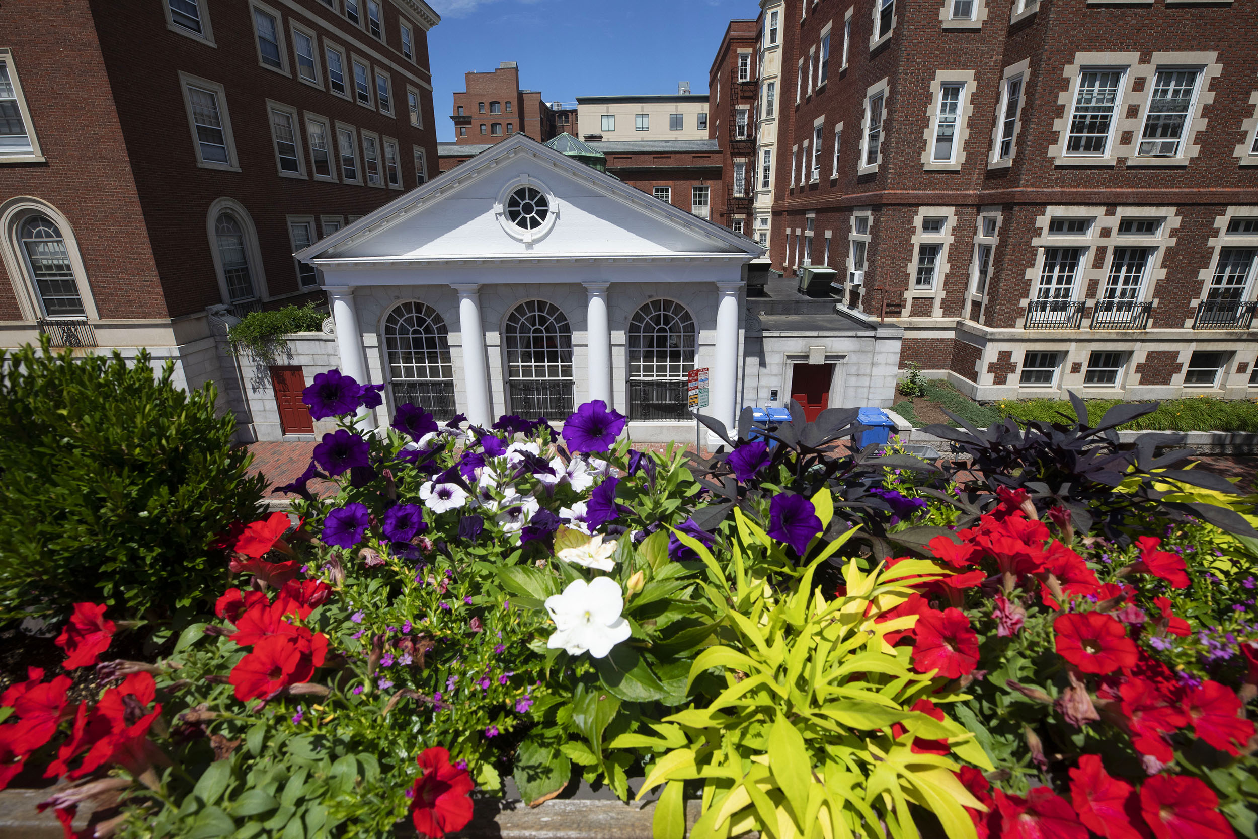 Adams House is brightened by a rainbow of flowers.