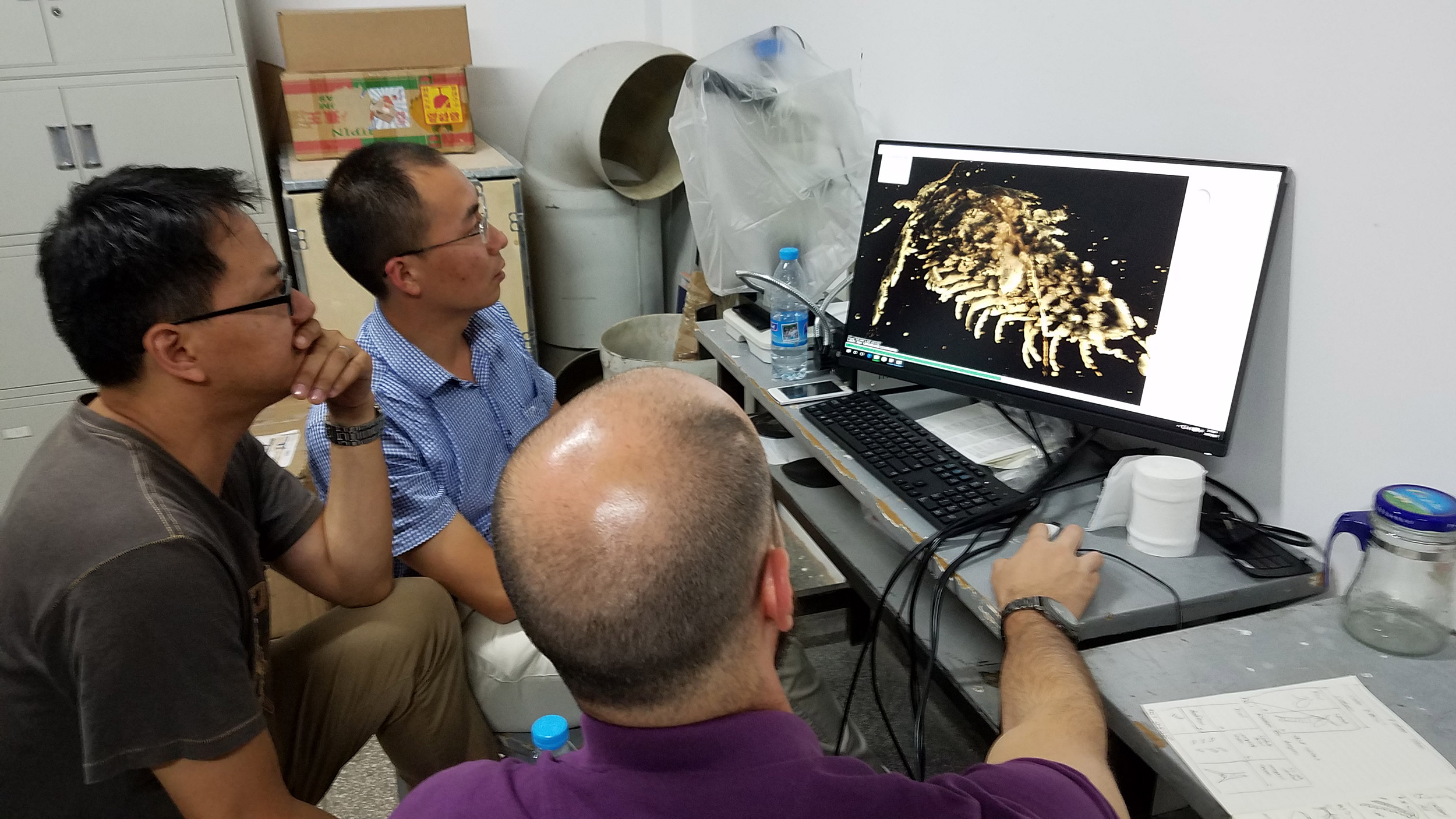 Researchers looking at computer scan.