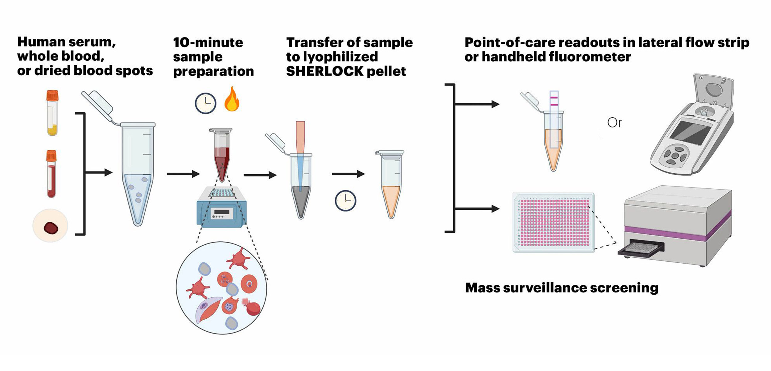 Fast, Inexpensive Test For Malaria Drills Down To Specifics — Harvard 