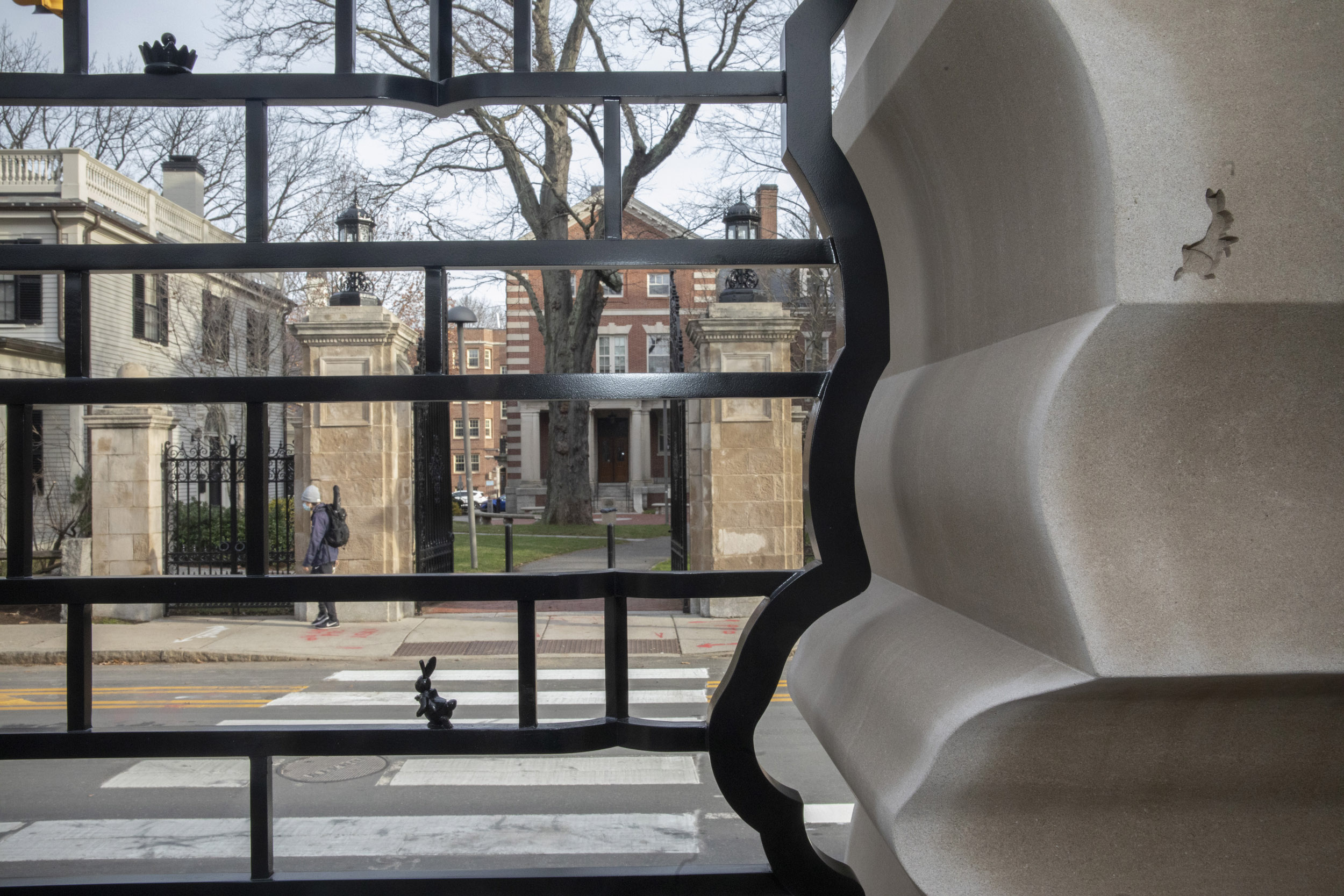 New gate in Harvard Yard.