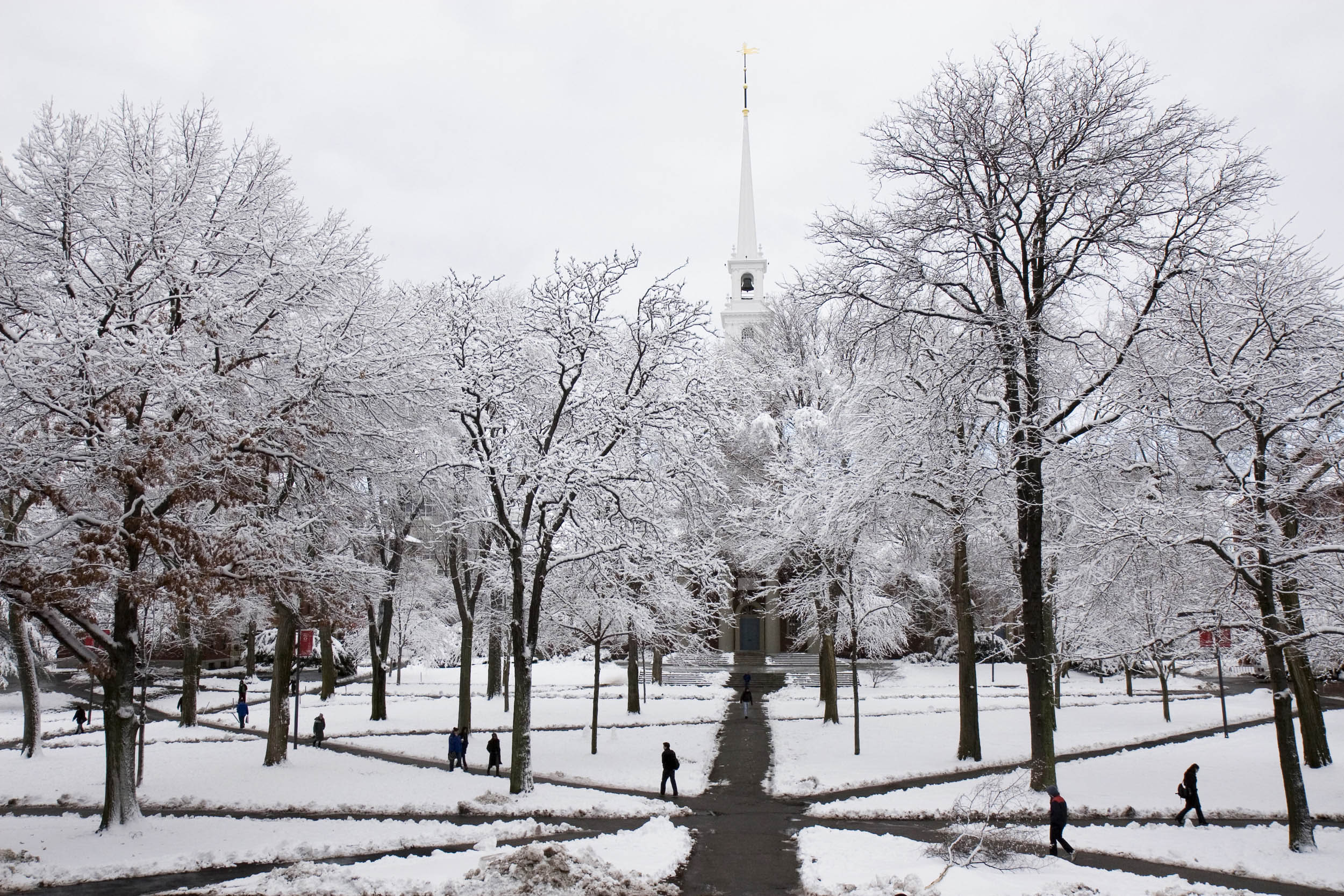 Yard in snow 2008.