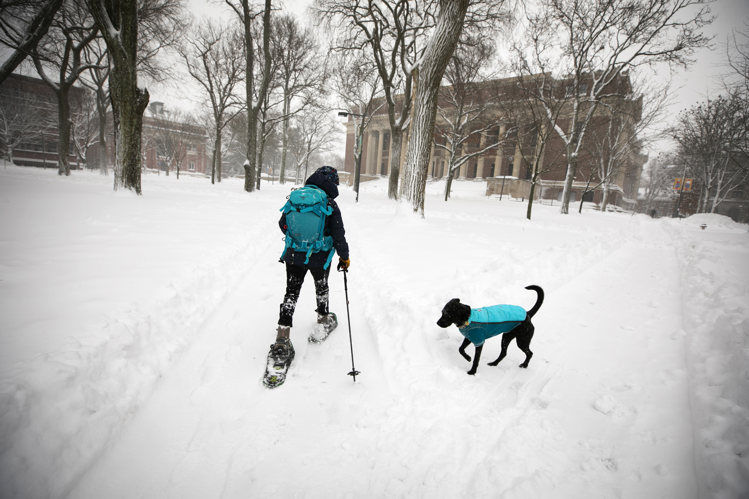 Skiing in snow.