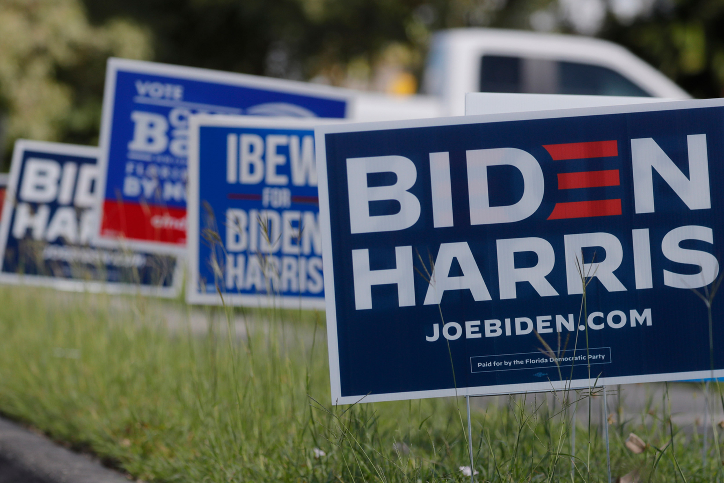 Political signs lining a street.