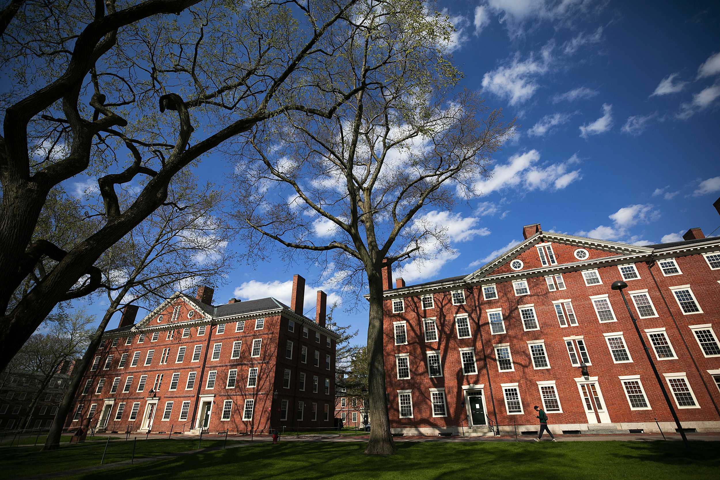 Harvard Yard.