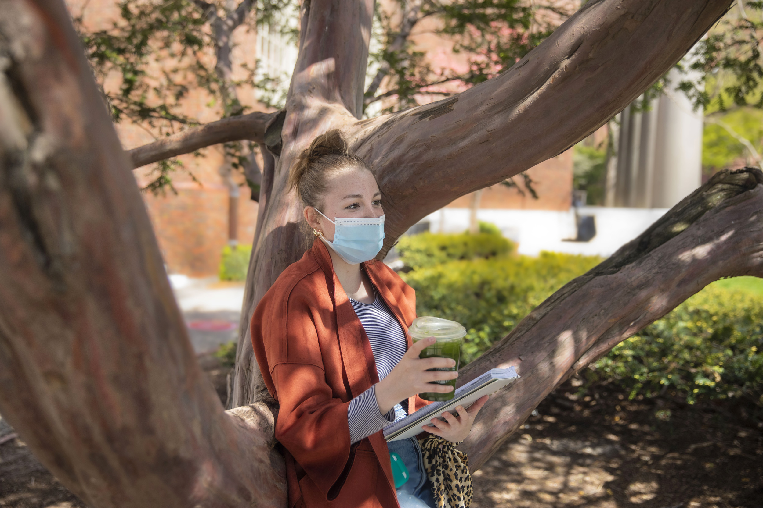 Samantha Galvin '24 reclines on a tree outside Memorial Church.