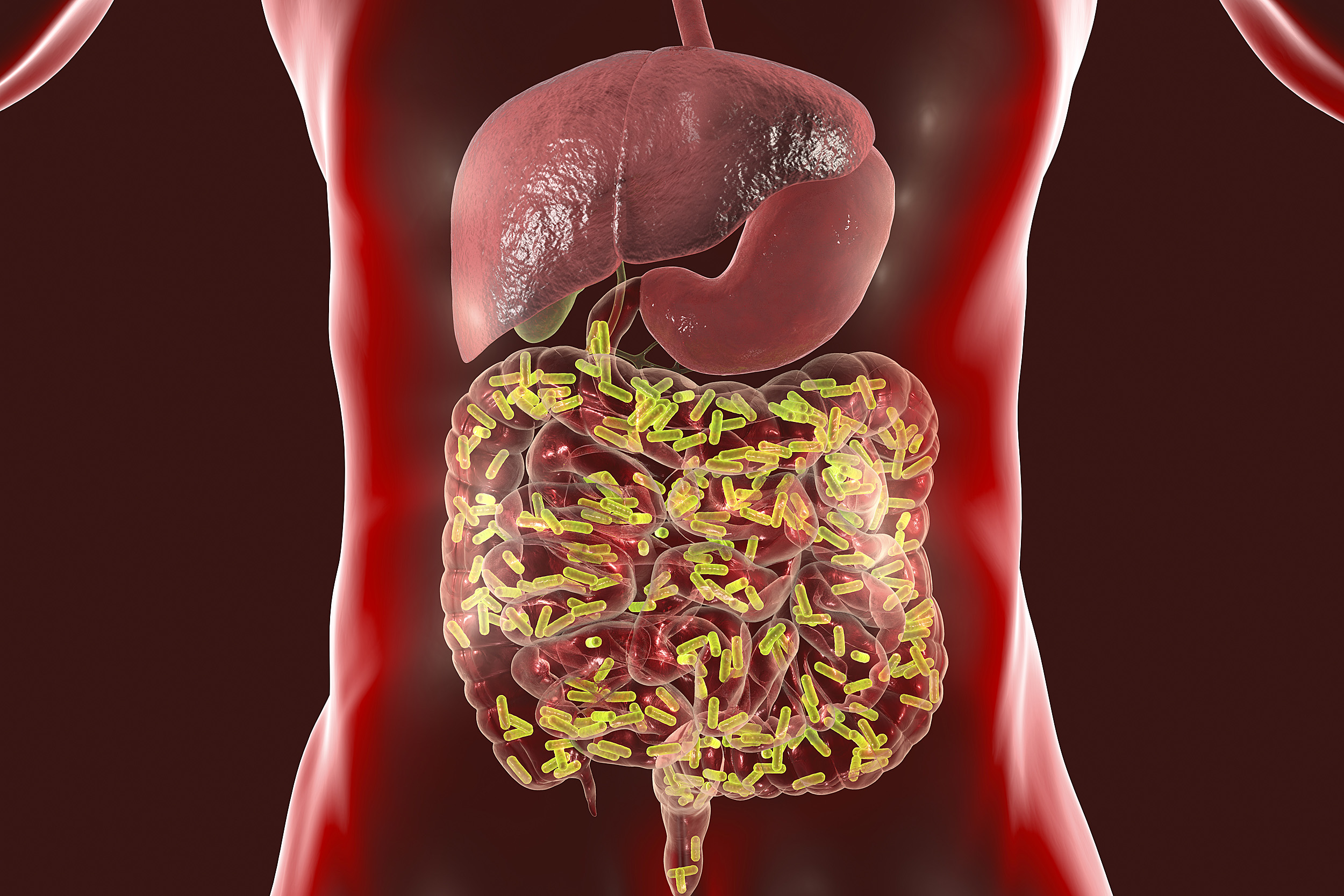 Intestinal microbiome.