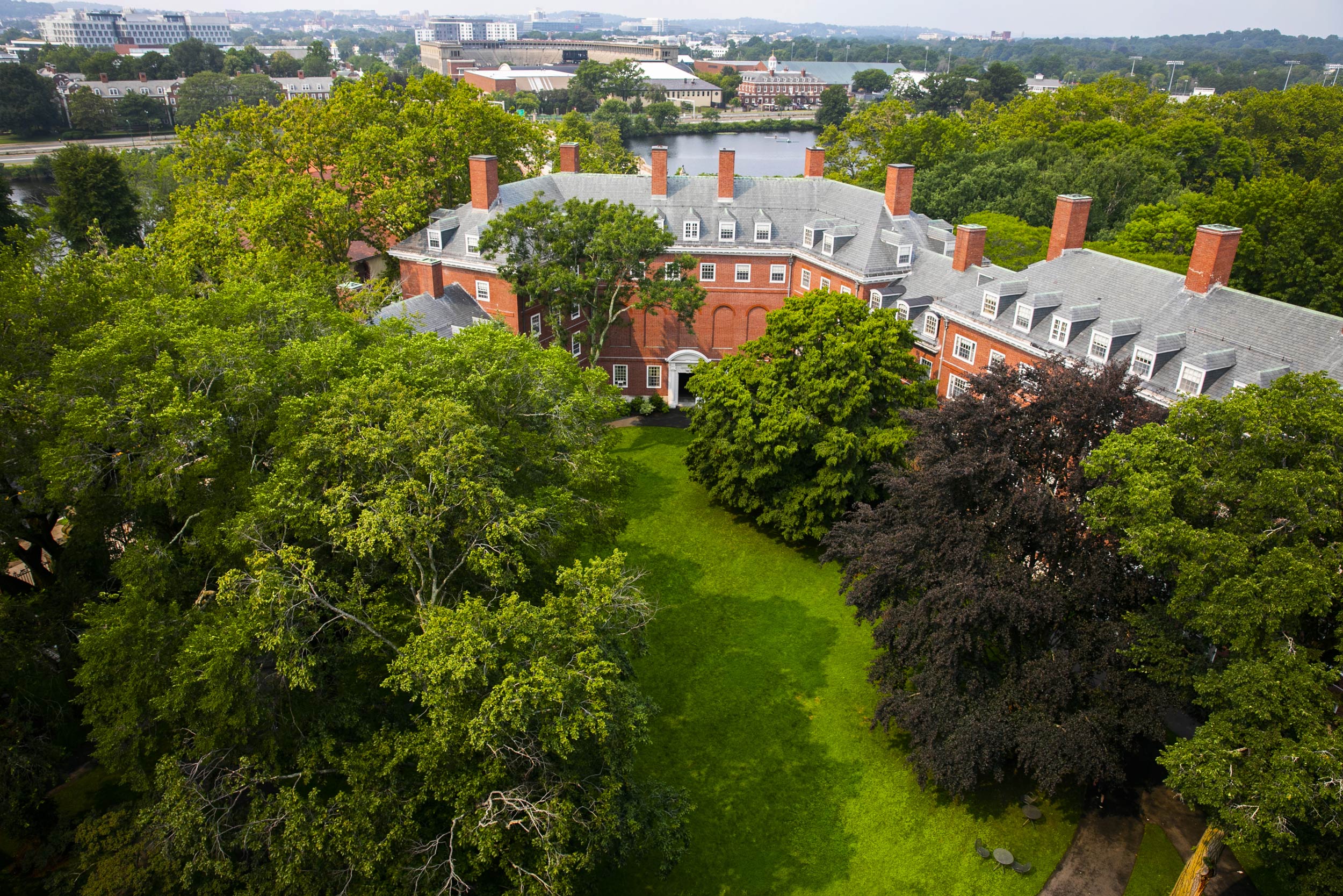 The Eliot House courtyard is verdant in late summer.